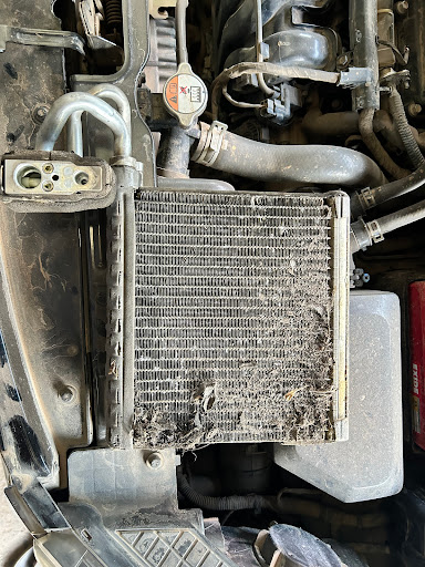Gallery image 11