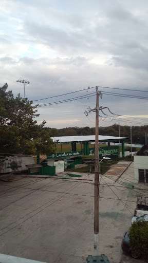 Baseball Stadium Luis Anzaldo Arroyo Gallery - Mexico