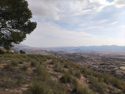 Ruta Los Molinos Salvajes 2022 - Spain