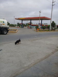 Estacion de servicio Proagro Primax 0