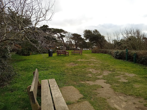 Turf Walk.
