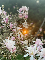 Photo n°41 de Villa Mon Repos Annebecq à Landelles-et-Coupigny (Chambre d'hôtes)