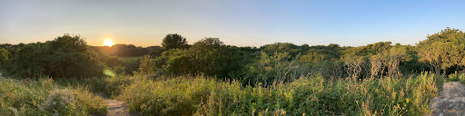 Uitkijkpunt Westduinpark - Thumbnail