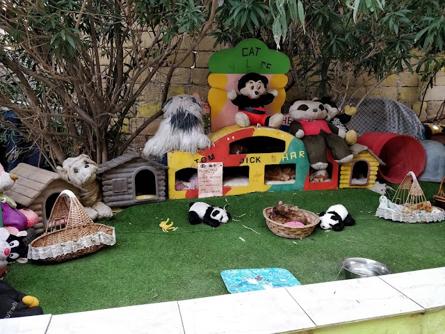 Cat Village Malta