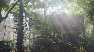 Photos of ABA Siem Reap Branch