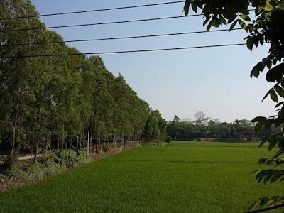 Photos of Hasara Bus Stand