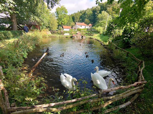 Thüringen anders - Visual