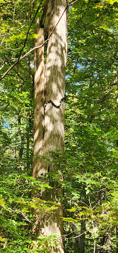 Williamsburg to Batavia Hike-Bike Trail - Zagar Rd. Parking Lot Gallery - United States
