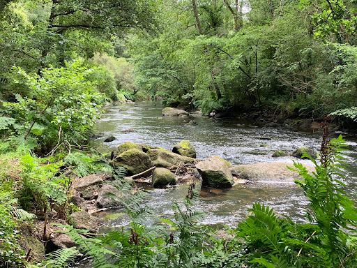 Gorges Stangala - Thumbnail