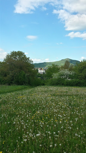 Middle School De La Comté Henri-Bertrand - Thumbnail