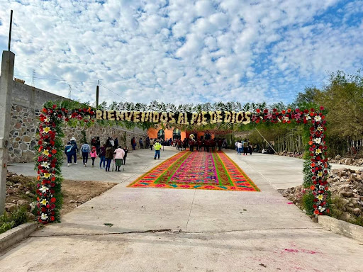 Pie de dios - Visual