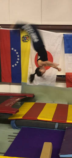 Island Gymnastics Training - Thumbnail
