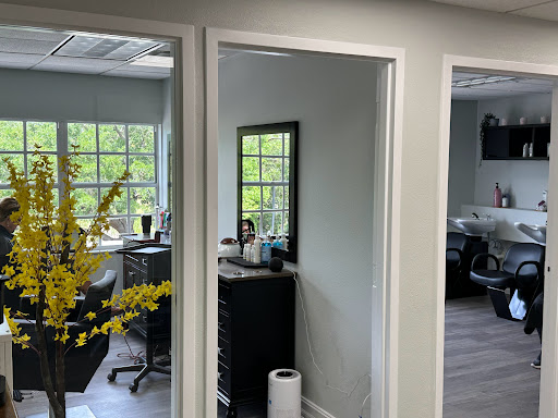 Salon Hive - Visual