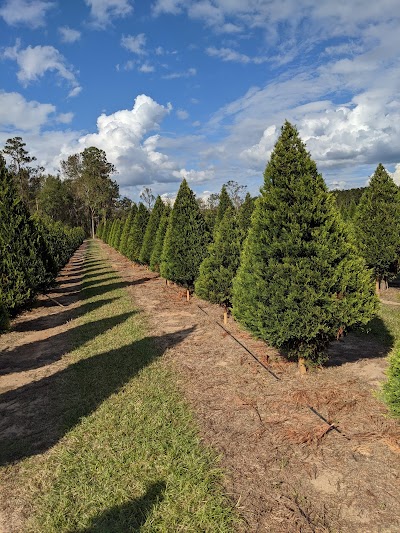 Grant Christmas Tree Farm