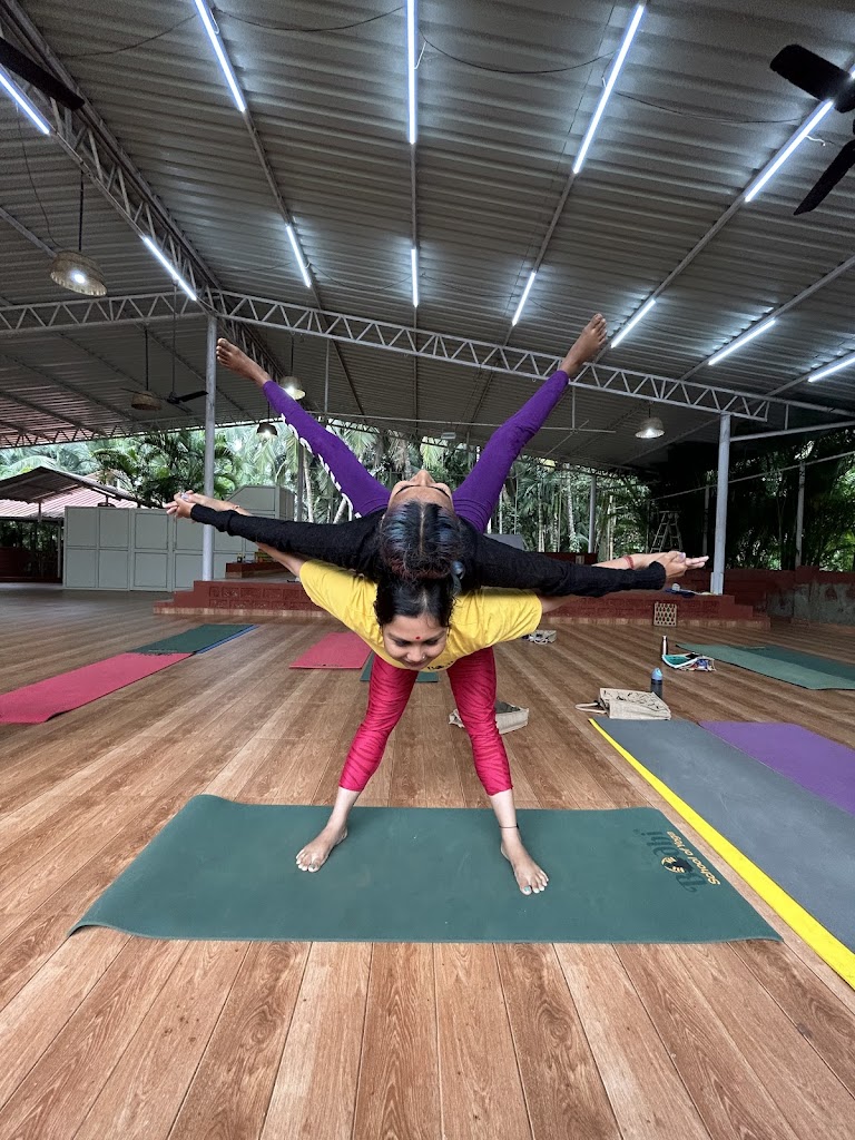 Yogasanas With Jinty