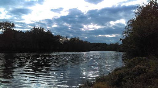 Ridgefields - Visual