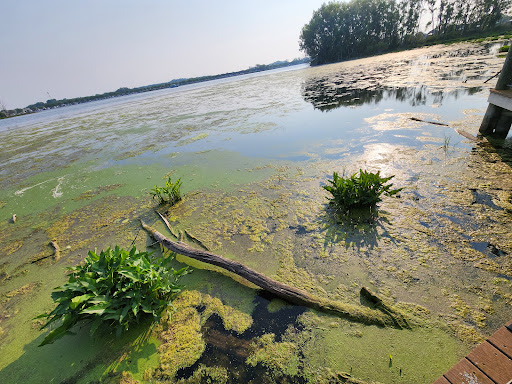 Mill Point Preserve