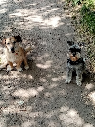 Campingplatz Quellensee