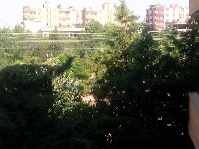 Photos of Professor Metin Sozen Playground
