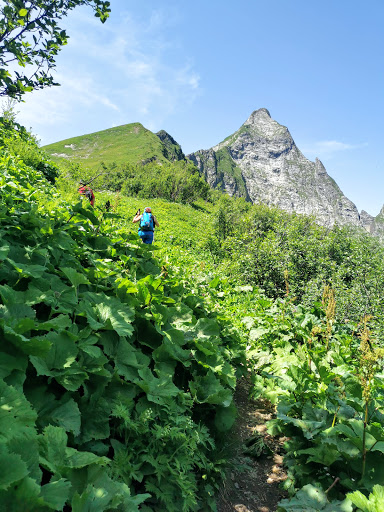 Älplesattel - Visual