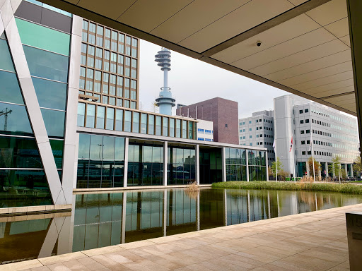 EY Amsterdam - Thumbnail