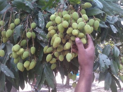 Photos of Nalka Bus Stand