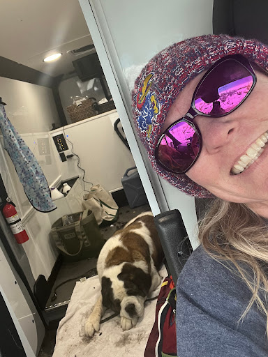 Shear Bliss Mobile Dog Spa Gallery - United States