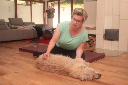 Hundephysio Antje Nübel - Thumbnail