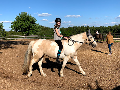 Reit und Ponyhof Großrain