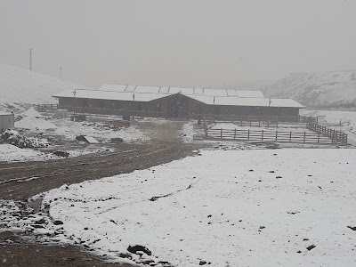 Photos of T&Uuml;VT&Uuml;RK Vehicle Inspection Station