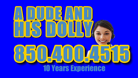 A Dude and His Dolly - Thumbnail
