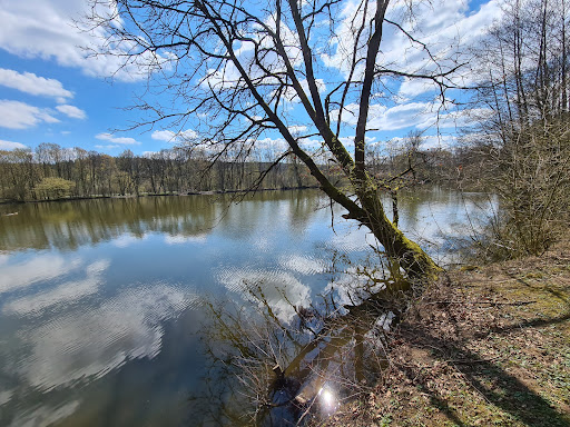 Fröschauweiher - Visual