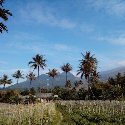 Photos of Villa Eidelweis Cipanas Garut