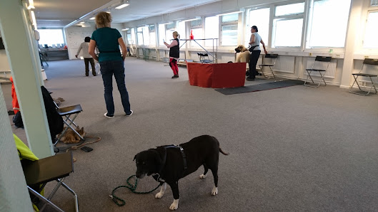 Norrlands Hundpsykologer AB Södra Allén 5, 852 44 Sundsvall, Sverige