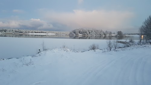 järv