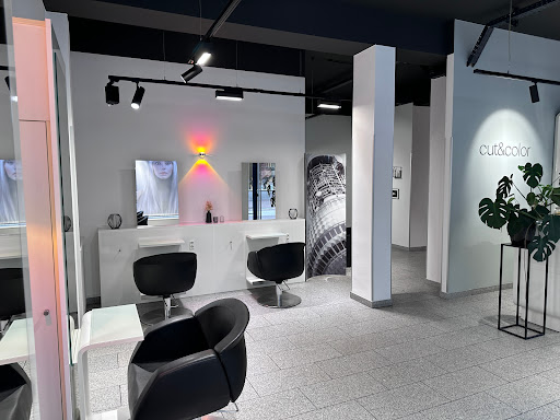 Cut & Color Friseure