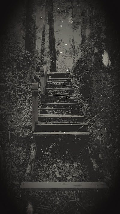 park