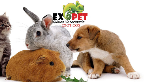 Exopet Clínica veterinaria