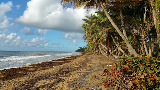 Centro Educativo Amigos de las Tortugas Marinas