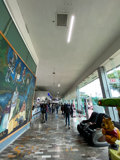 Central del Sur Taxqueña