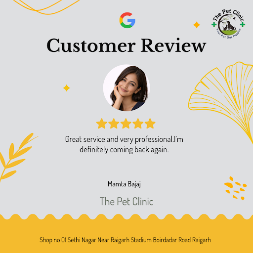 Mamta Bajaj, a delighted pet parent from Raigarh, gives a glowing 5-star review to The Pet Clinic… post image