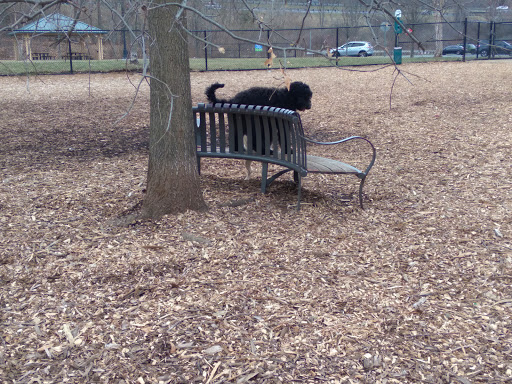 Holyoke Dog Park