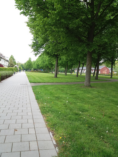 Open Hof Dronten - Thumbnail