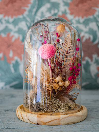 TCflowerlab - Visual