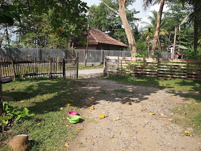 Photos of Sumatran Tiger Resort