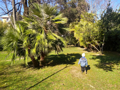 Parco Molaroni - Visual
