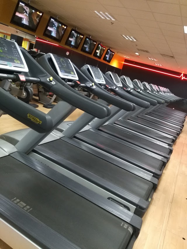 Fitness Plus