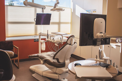 Pine Dental Clinic - Thumbnail