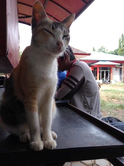 Photos of Taman almanar