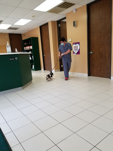 Porter Animal Hospital - Thumbnail